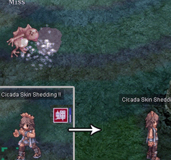 Cicada_Skin_Shed_Info.gif