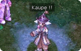 Kaupe_Info.gif