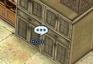 Rachel Bookshelf.jpg