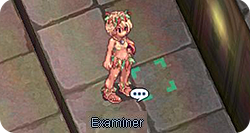 Examener
